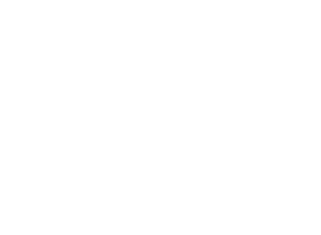 Vision Techniques